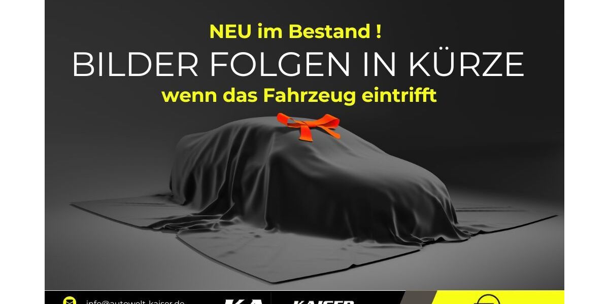 Opel Grandland (X) 2.469 km 37.999 &euro; Neustadt an der Aisch 91413