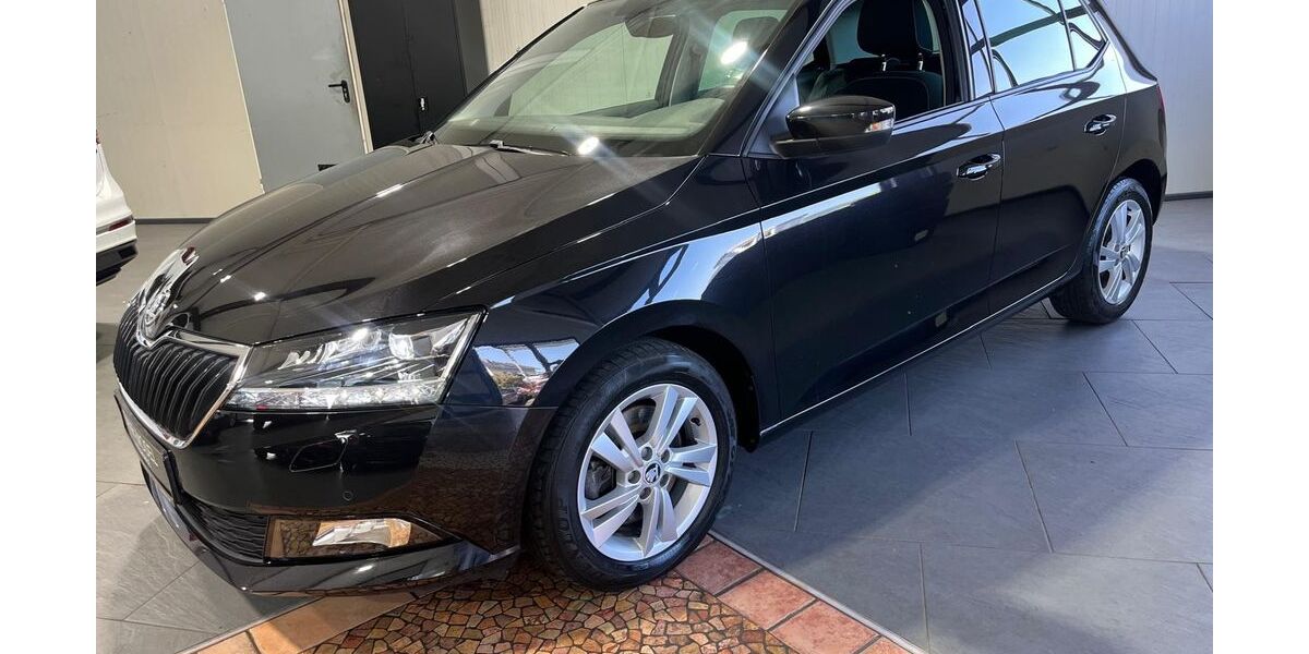 Skoda Fabia 41.000 km 14.390 &euro; Ayl 54441