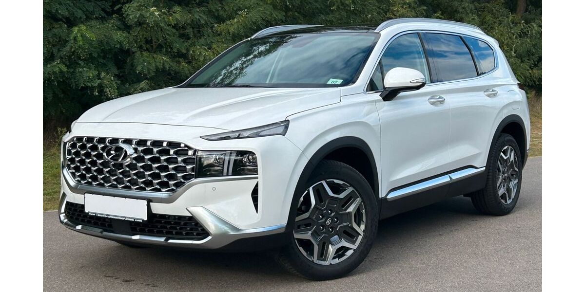 Hyundai SANTA FE 1.001 km 48.890 &euro; Jüterbog 14913