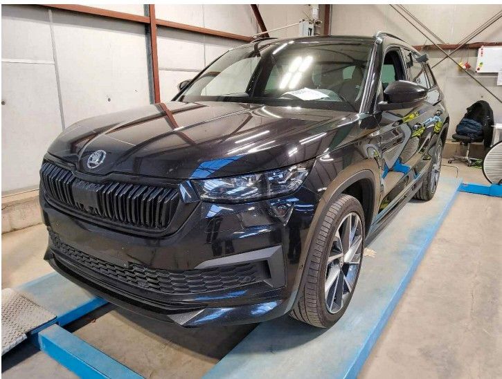 Skoda Kodiaq 170.000 km 28.560 &euro; Weinheim 69469