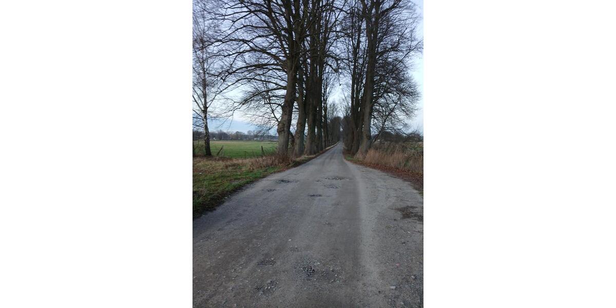 Einfamilienhaus Löwenberger Land - 70.000&euro; | Angebot:24873741