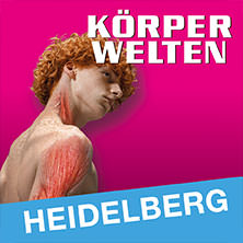 KÖRPERWELTEN - Flex-/Geschenkticket 18.05.2026 KÖRPERWELTEN Heidelberg