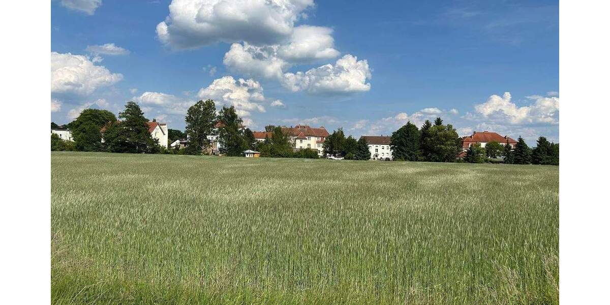 Tschernitz - ca. 34 km vom Cottbuser Zentraum - lt. FNP-Entwurf zukünftige Wohnbaufläche - provisionsfrei kaufen zimmer