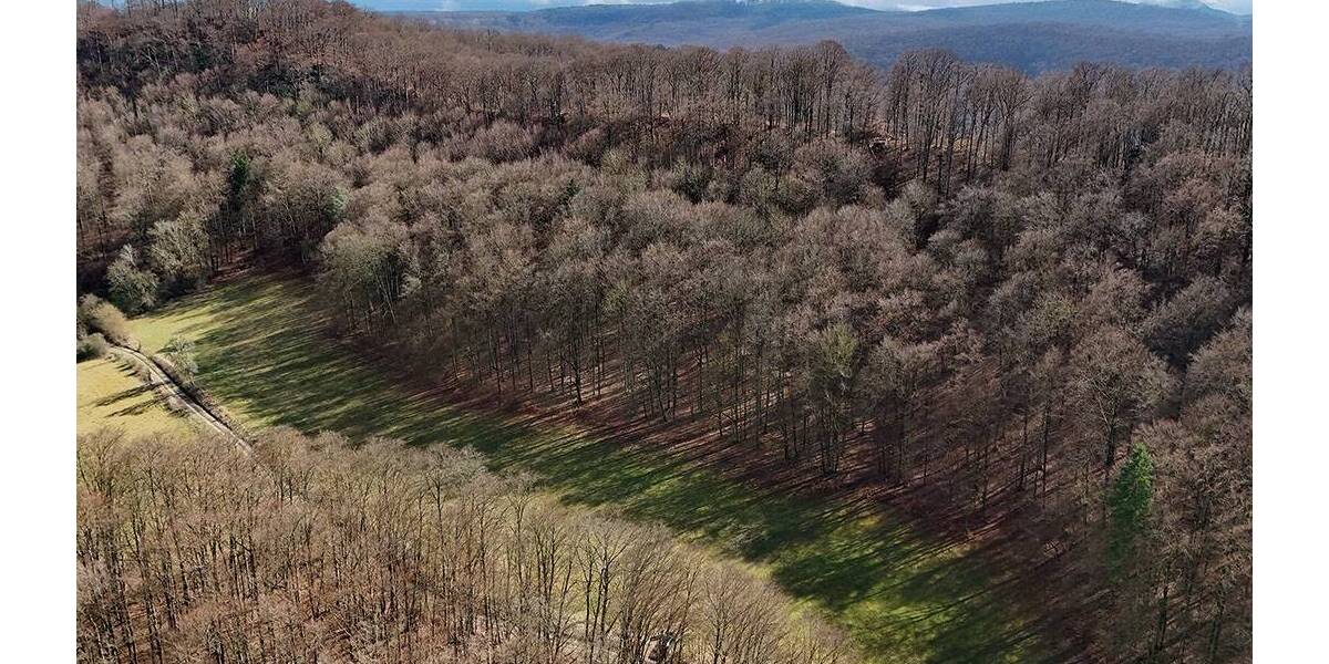 Grundstück Asbach-Sickenberg Sickenberg - 8.000&euro; | Angebot:26246343