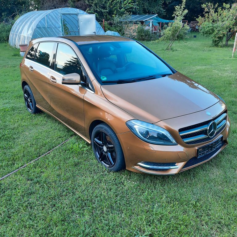 Mercedes-Benz B 200 193.565 km 7.599 € Nennhausen 14715