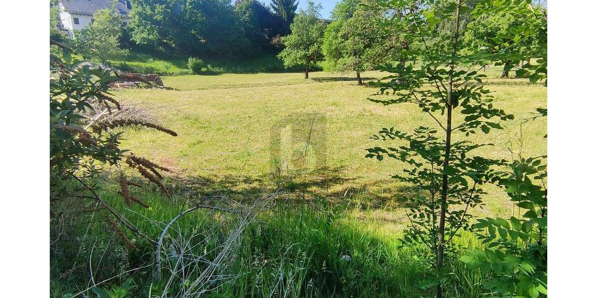 Grundstück Balzheim - 150.000&euro; | Angebot:27088254