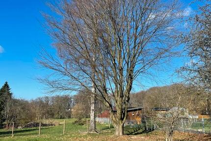 Haus Much - 5 Zimmer, 180 m&sup2;, 1.600&euro; | Angebot:25612075