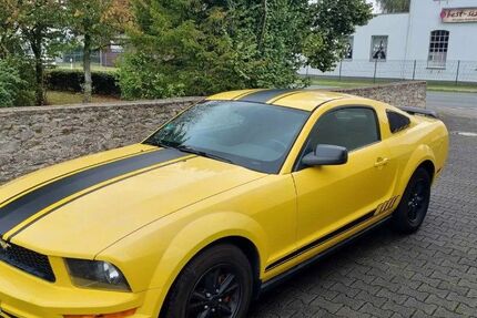 Ford Mustang 114.612 km 10.900 &euro; Lage 32791