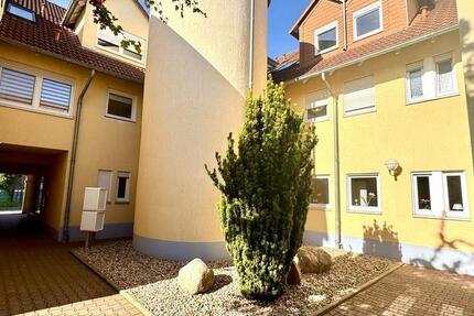 Wohnung Ballenstedt - 1 Zimmer, 53 m&sup2;, 320&euro; | Angebot:26379986