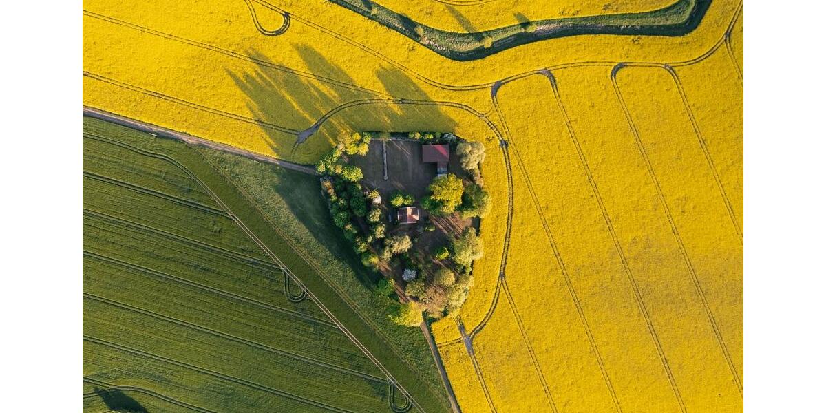 Ländliches Holzhaus Grundstücksfläche 7.000 m² 2 zimmer