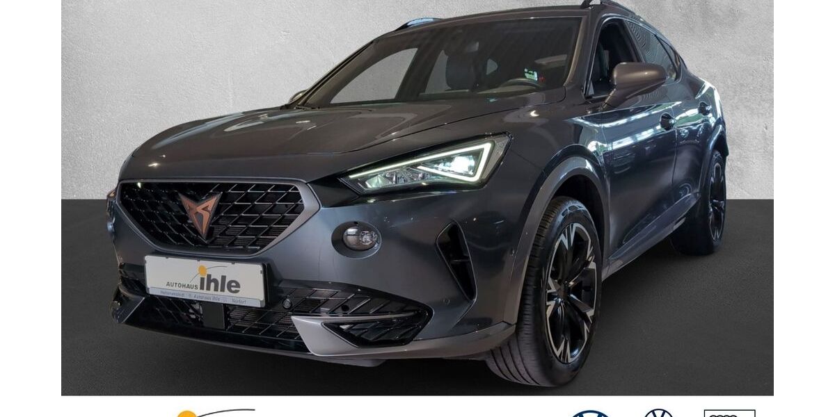 Cupra Formentor 38.975 km 25.890 &euro; Hohenwestedt 24594