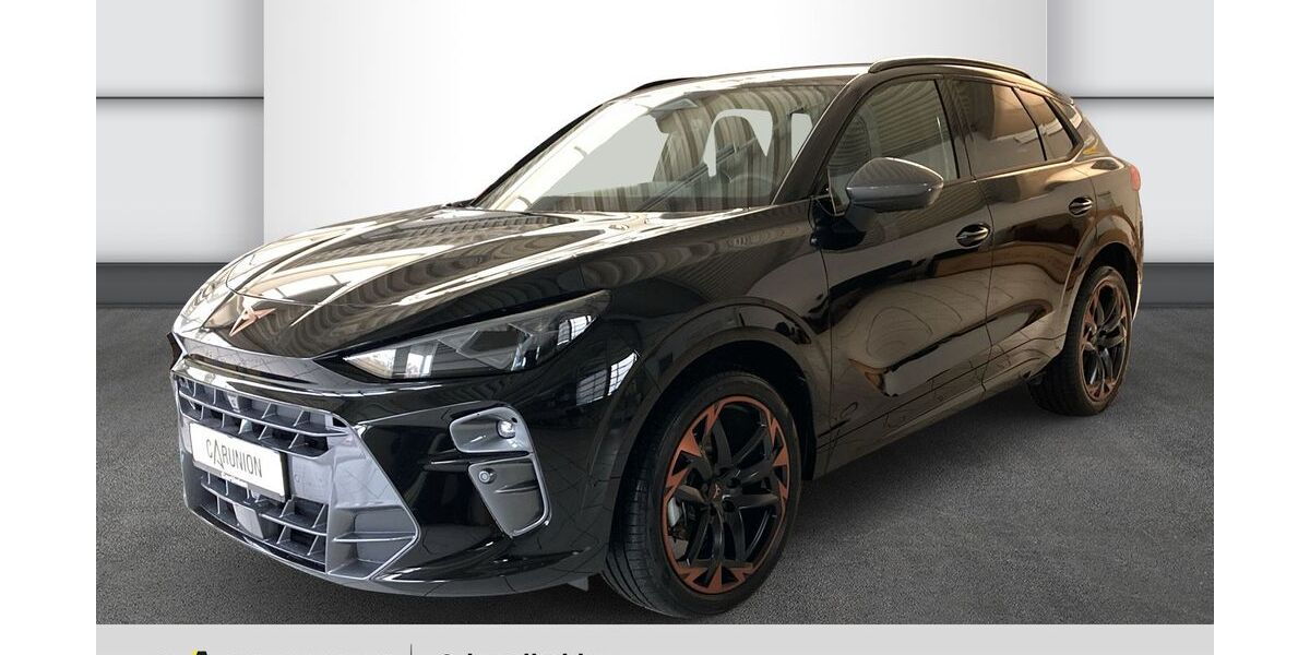 Cupra Terramar 10.131 km 39.290 &euro; Schmalkalden 98574