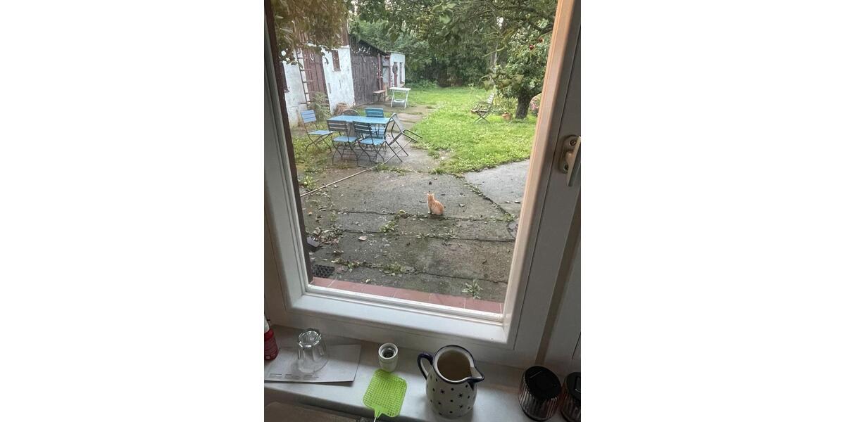 Bauernhaus, Landhaus Bad Freienwalde (Oder) - 3.5 Zimmer, 75 m&sup2;, 260.000&euro; | Angebot:25901285