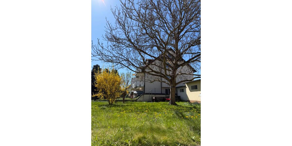 Dachgeschoßwohnung Stuttgart Fasanenhof-Ost - 3 Zimmer, 49 m&sup2;, 834&euro; | Angebot:26670387