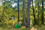 Bungalow Spreenhagen - 2 Zimmer, 40 m&sup2;, 1.150&euro; | Angebot:25642045