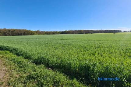 3,3 ha Ackerland bei Chörau und Dessau Mosigkau - Grundstück Chörau Chörau | Angebot:27026089