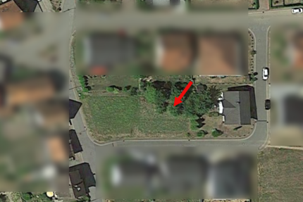 Grundstück zu verkaufen in Maßweiler 99.000 € 445 m² zimmer