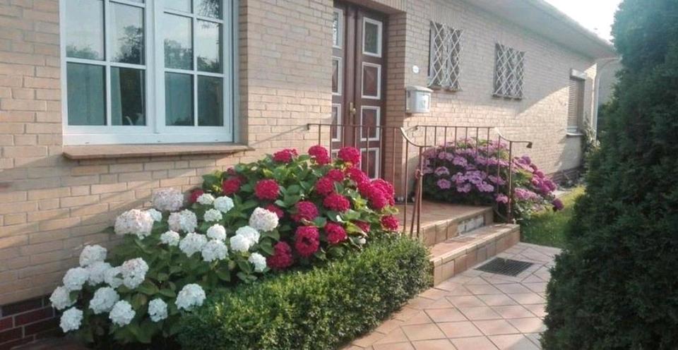 Einfamilienhaus Lüchow (Wendland) - 8 Zimmer, 205 m&sup2;, 239.000&euro; | Angebot:27095924