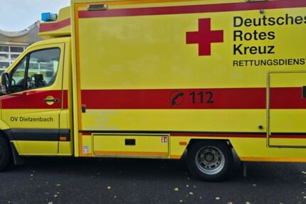 Mercedes-Benz Sprinter 245.500 km 10.500 &euro; Dietzenbach 63128