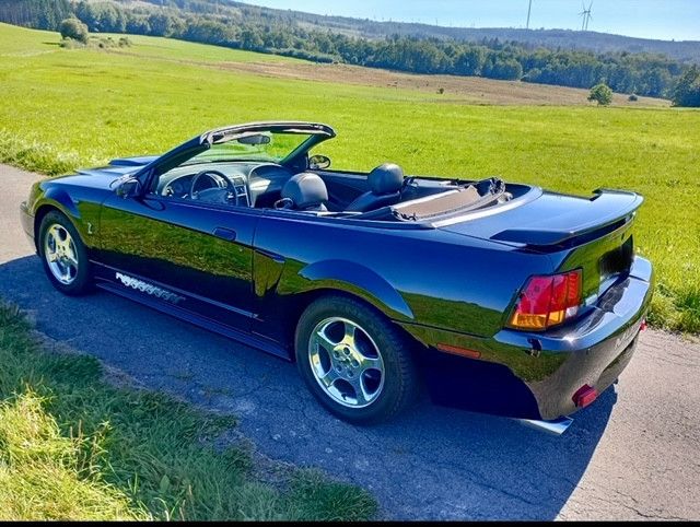 Mustang