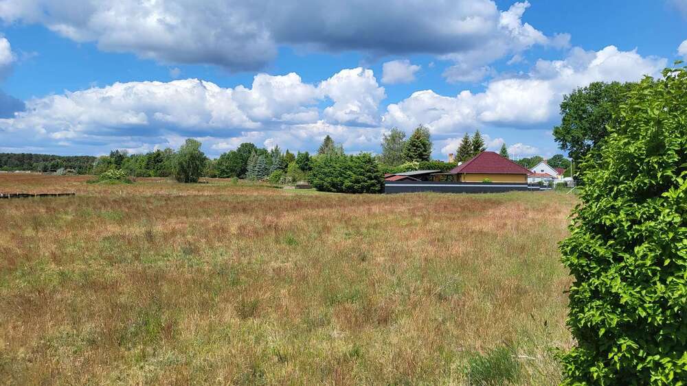 Grundstück Bersteland OT Freiwalde Freiwalde - 69.990&euro; | Angebot:24479237