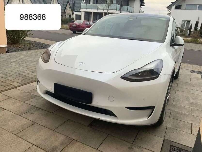 Model Y