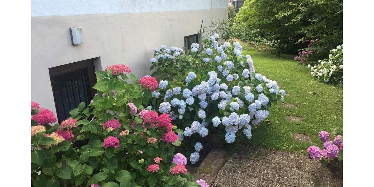 Mehrfamilienhaus, Wohnhaus Freiburg Günterstal - 1 Zimmer, 356 m&sup2;, 1.195.000&euro; | Angebot:24876612