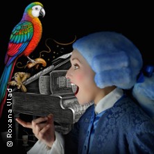 Der kleine Mozart - Theater für Kinder/Allee Theater