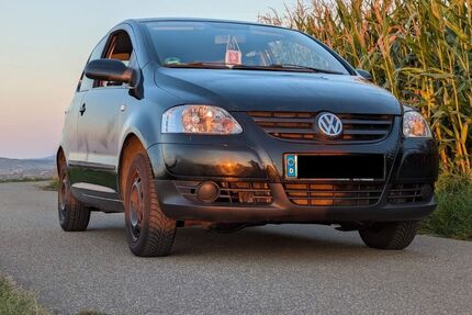 VW Fox