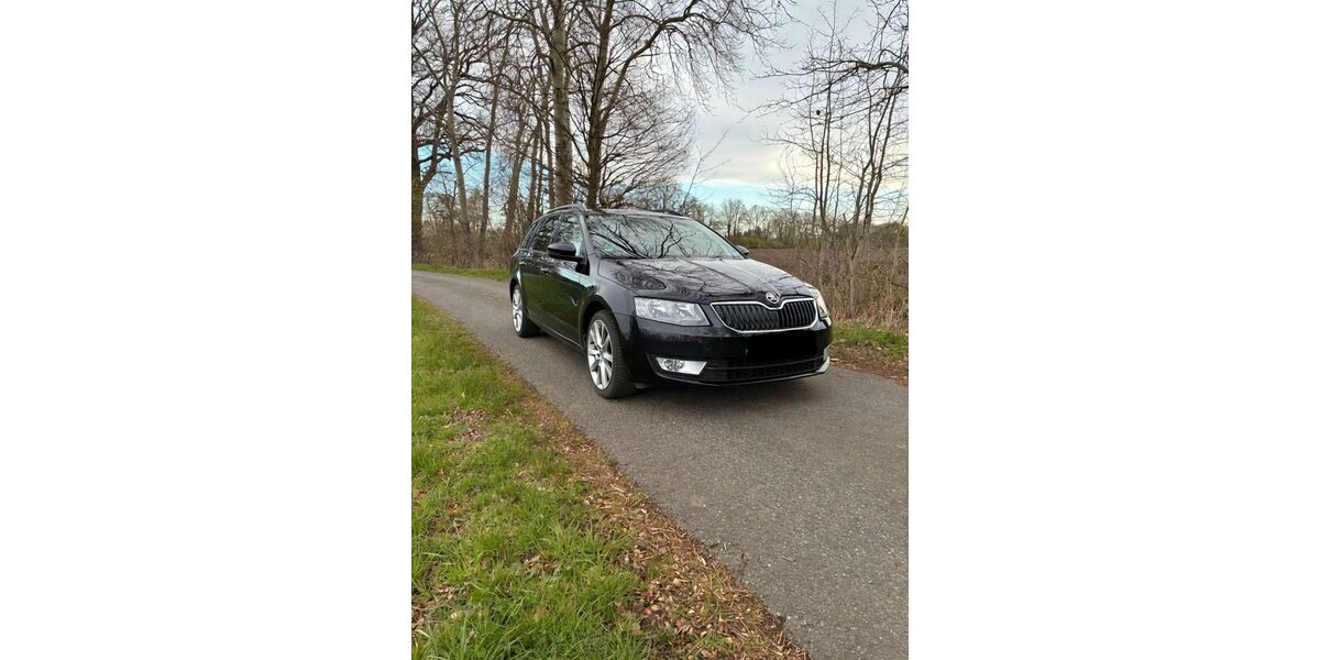 Skoda Octavia 173.200 km 12.800 &euro; Neuenhaus 49828