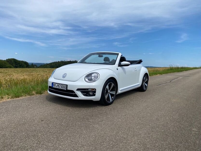 Beetle