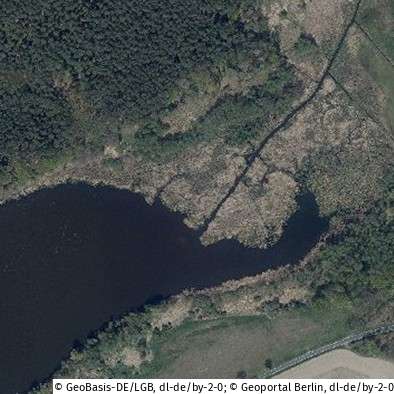 Grundstück Friedland - 67.000&euro; | Angebot:25562729