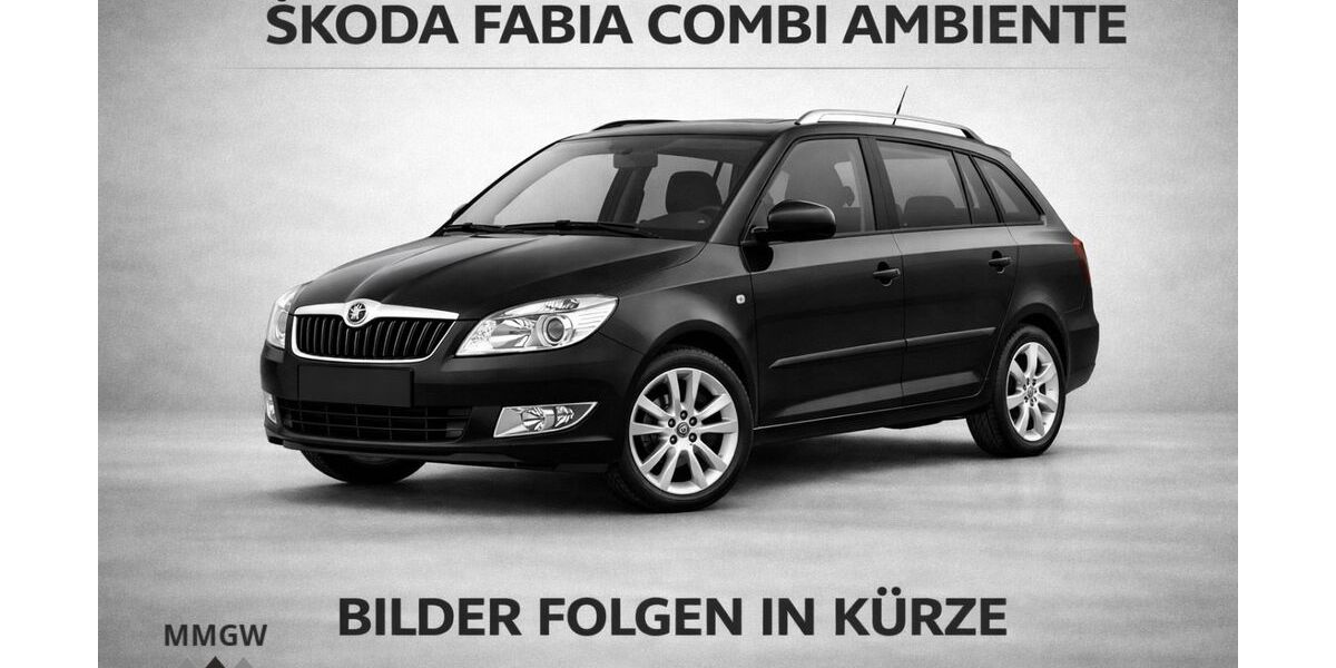 Skoda Fabia 246.611 km 4.990 &euro; Bensheim 64625
