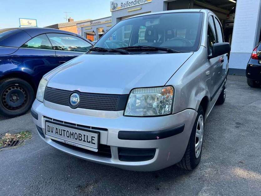 Panda