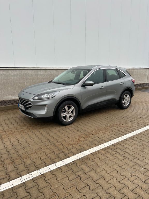 Kuga