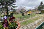 Charmante Doppelhaushälfte für idyllisches Familienwohnen mit großem Grundstück in bester Lage - Doppelhaushälfte Weinböhla | Angebot:26477754