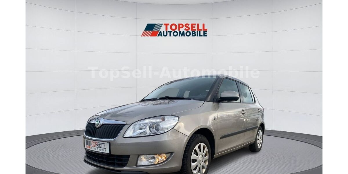 Skoda Fabia 112.000 km 4.999 € Chemnitz 09120