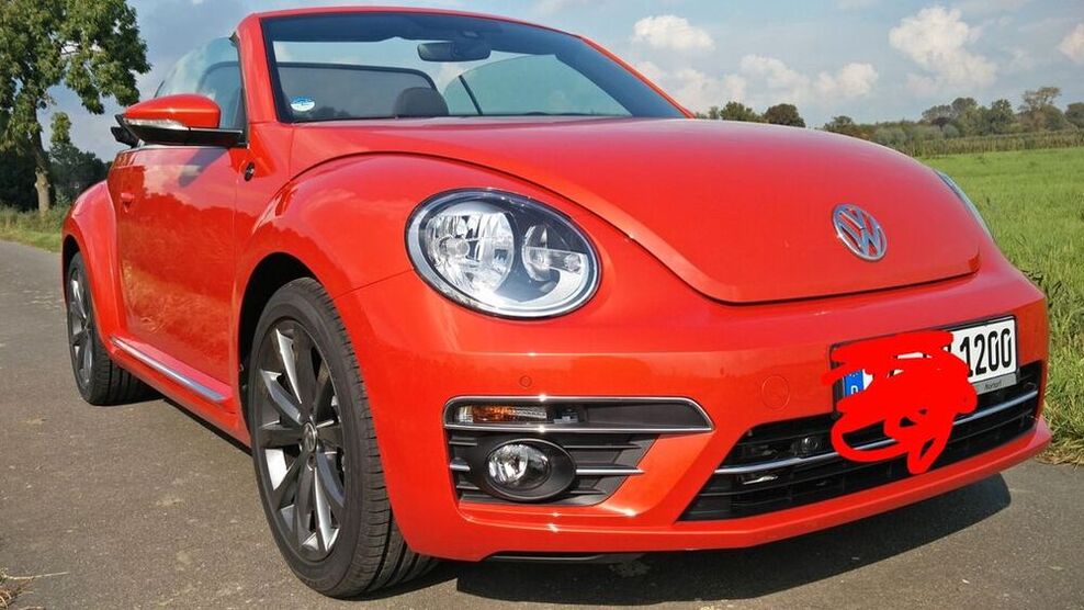 Beetle