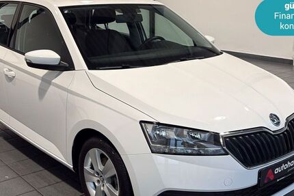 Skoda Fabia 39.476 km 12.490 € Wuppertal 42287