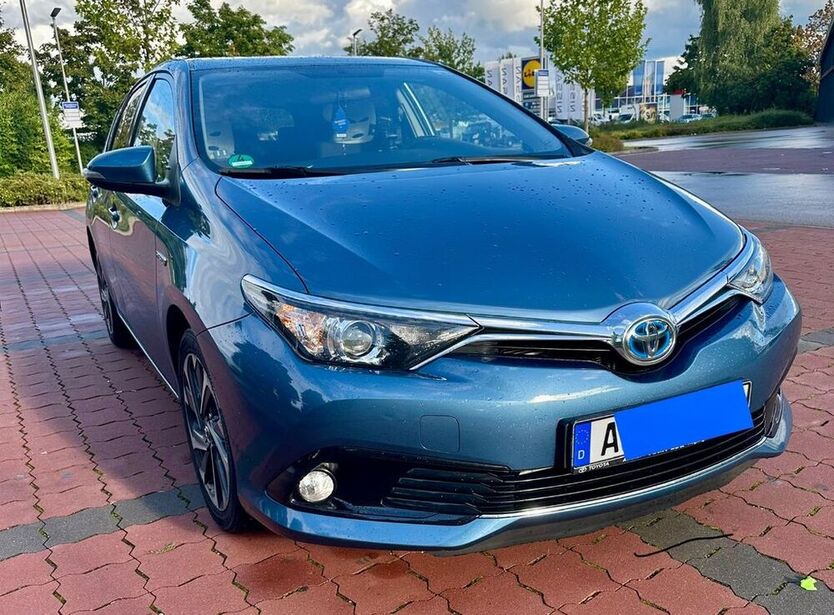 Auris