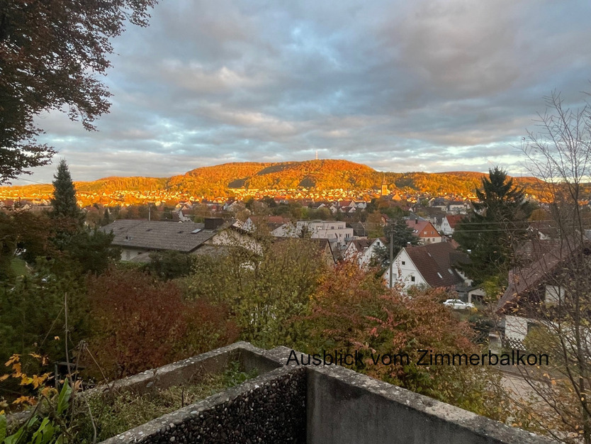 WG Zimmer Aalen Top Aussicht Balkon Garten