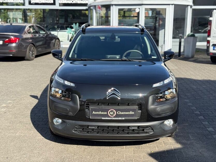 C4 Cactus