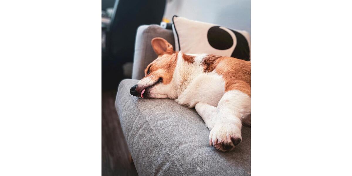 Einfamilienhaus Preußisch Oldendorf - 5 Zimmer, 136 m&sup2;, 1.700&euro; | Angebot:24629818