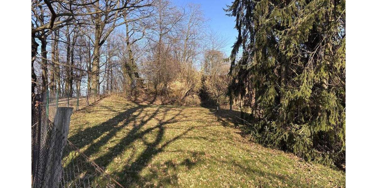 Einfamilienhaus Leisnig Bockelwitz - 6 Zimmer, 90 m&sup2;, 90.000&euro; | Angebot:25821936