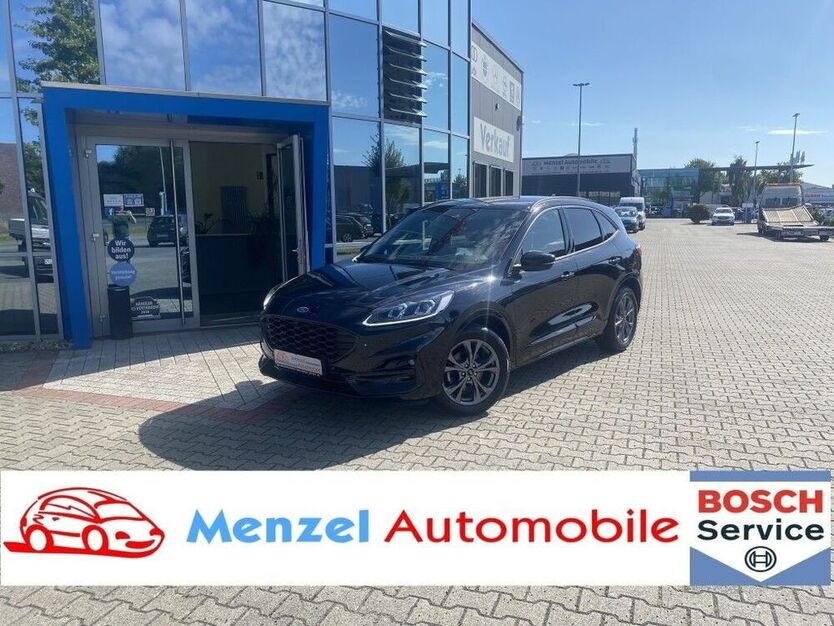 Kuga