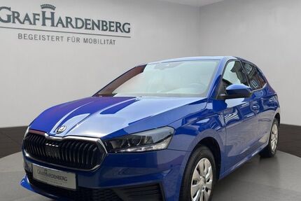 Skoda Fabia 30.200 km 14.333 &euro; Gengenbach 77723