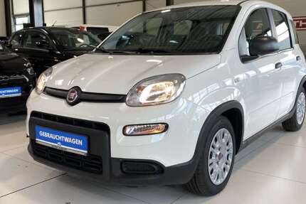 Fiat Panda 13.296 km 10.490 &euro; Buchholz 21244