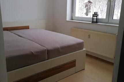 Schöne 3 Zimmerwohnung in Neuhaus-Schierschnitz 3 zimmer