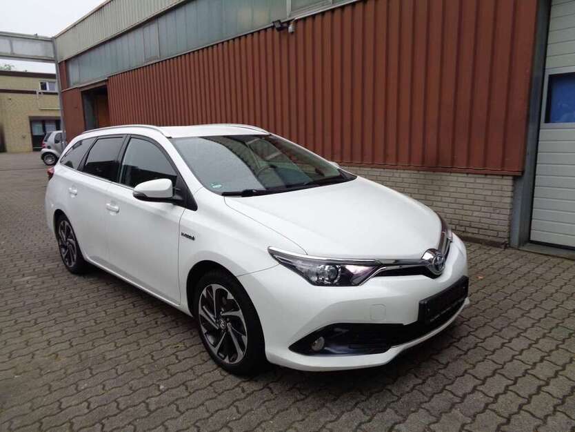 Auris