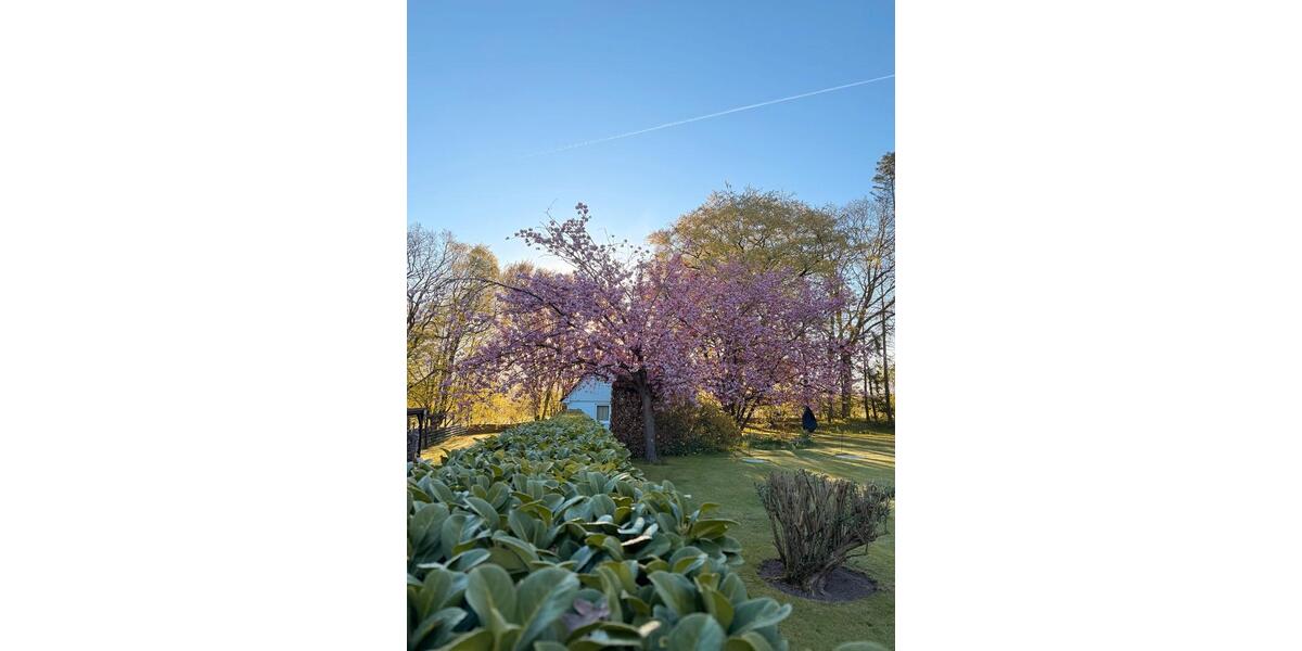 Ferienimmobilie Scharbeutz Wulfsdorf - 65&euro; | Angebot:26705278